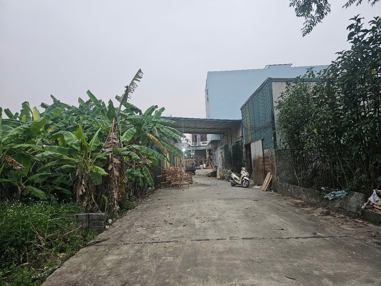 ĐẤT ĐẸP- GIÁ TỐT CHÍNH CHỦ BÁN ĐẤT(TÌM NGƯỜI MUA THIỆN CHÍ) tại huyện Phú Xuyên, Tp Hà Nội - Ảnh 4