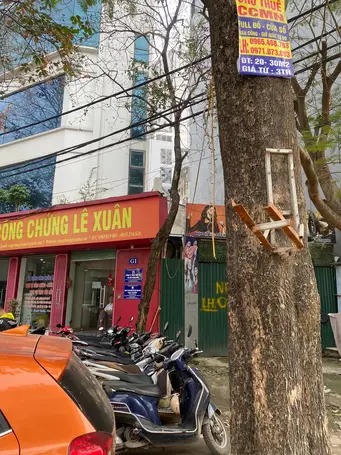 bán đất phố phùng hưng, phúc la, hà đông, gần ngã 3 kinh doanh sầm uất, 130m2, giá 37 tỉ - Ảnh 1