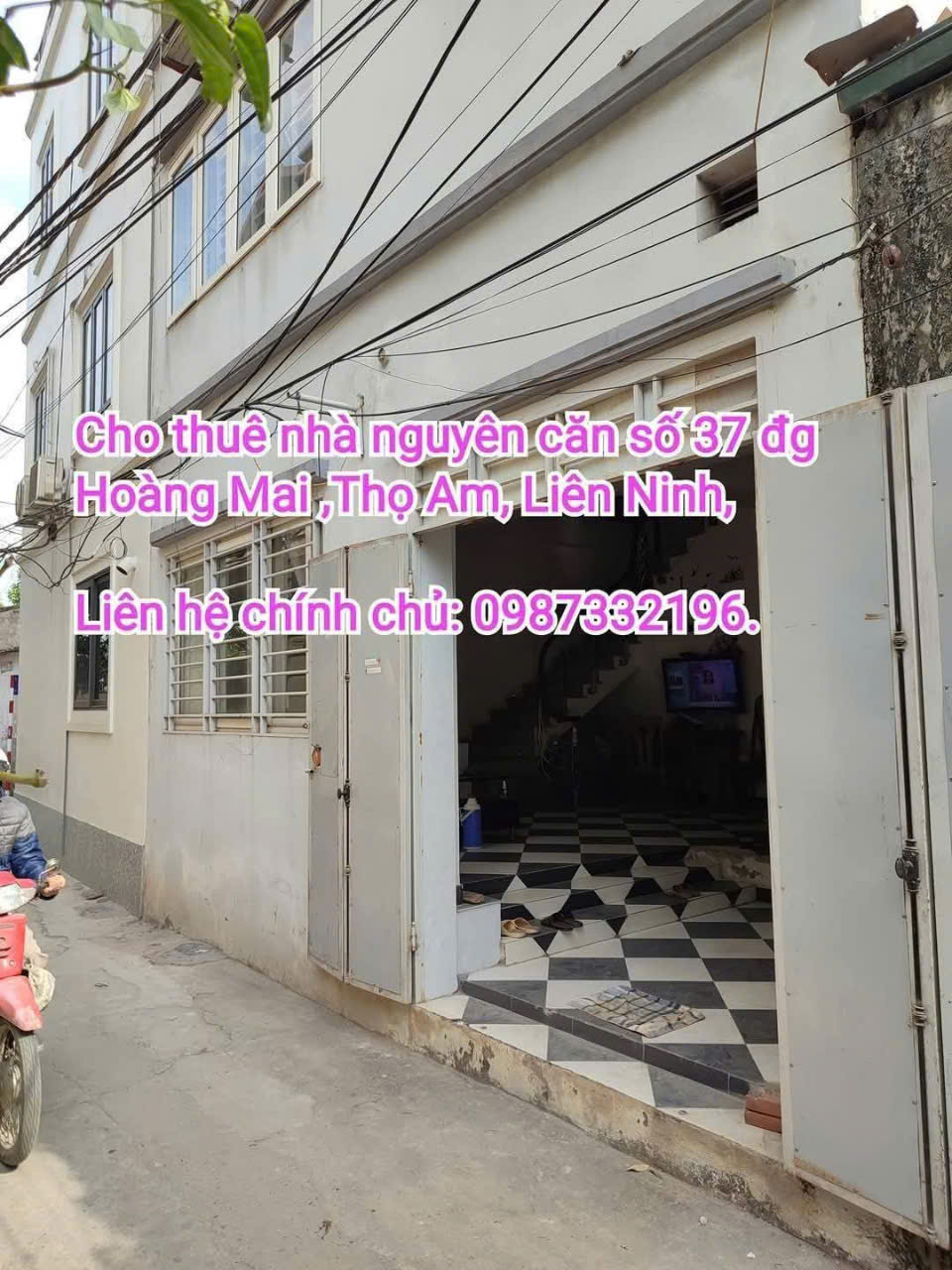 GIÁ TỐT - MÌNH CHÍNH CHỦ CHO THUÊ NHÀ NGUYÊN CĂN SỐ 37 ĐƯỜNG HOÀNG MAI, THÔN THỌ AM, XÃ LIÊN NINH, - Ảnh chính