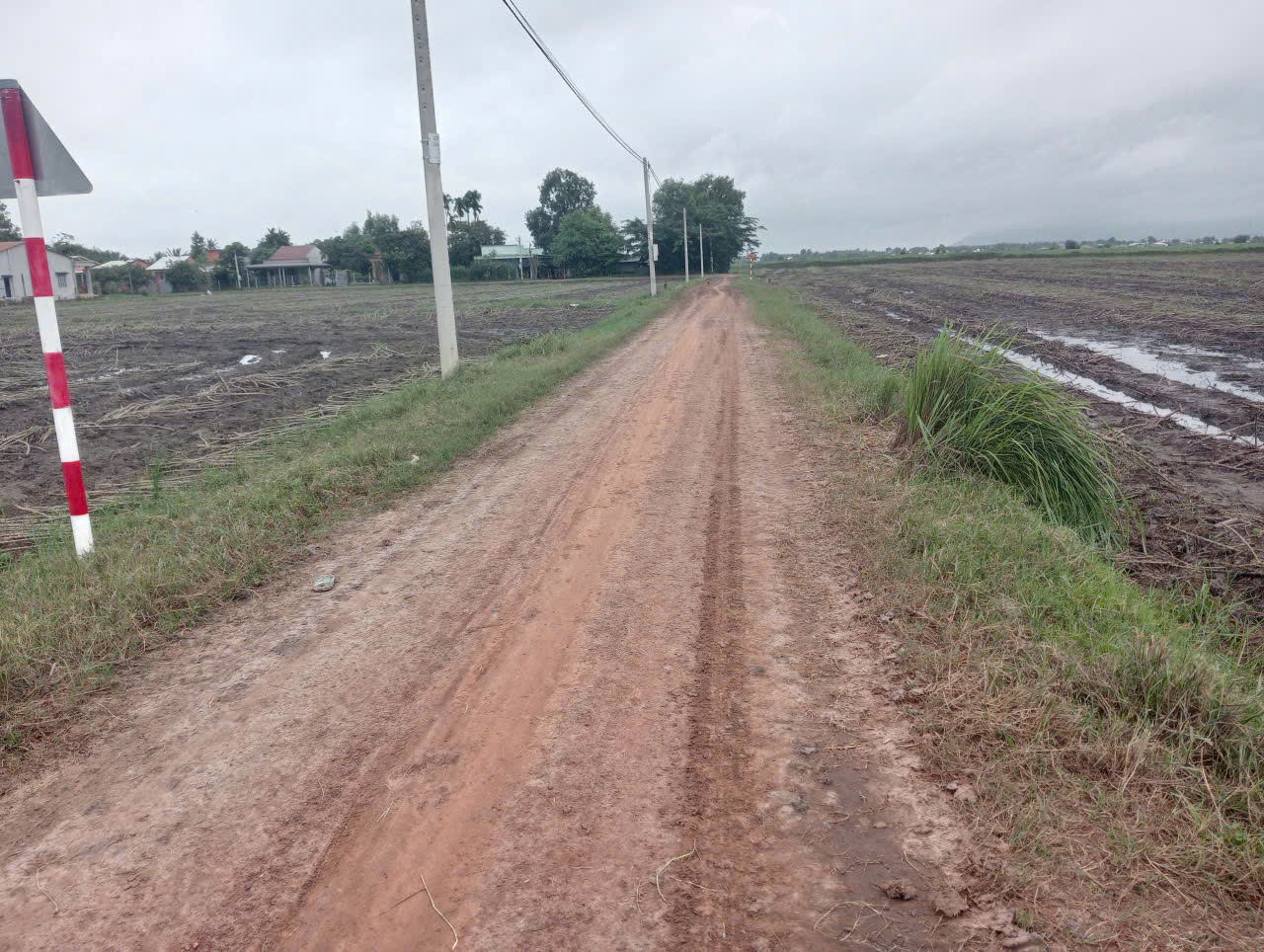 CHÍNH CHỦ CẦN BÁN GẤP 2 CÔNG ĐẤT Ở MINH CHÂU -TÂY NINH - Ảnh 1