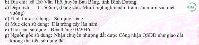 Cho thuê nhà xưởng đang xây dựng 6.221 m2 tại Long Nguyên, Bàu Bàng, Bình Dương - Ảnh 2