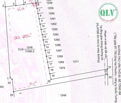 Cho thuê nhà xưởng đang xây dựng 6.221 m2 tại Long Nguyên, Bàu Bàng, Bình Dương - Ảnh 3