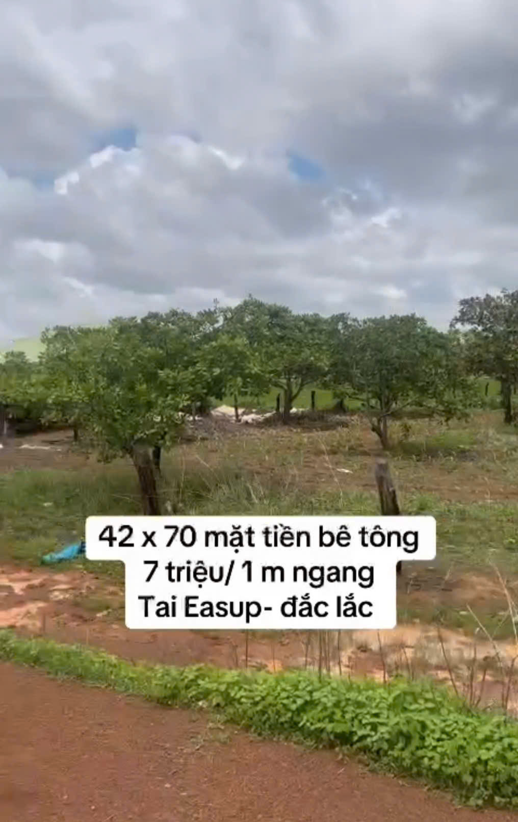 KẸT TIỀN BÁN GẤP 3361,1MV ĐẤT CÁCH XÃ CƯ K BANG, E A SÚP, ĐẮC LẮC 1.5KM CHỈ 300TR. LH:0888889603 - Ảnh chính