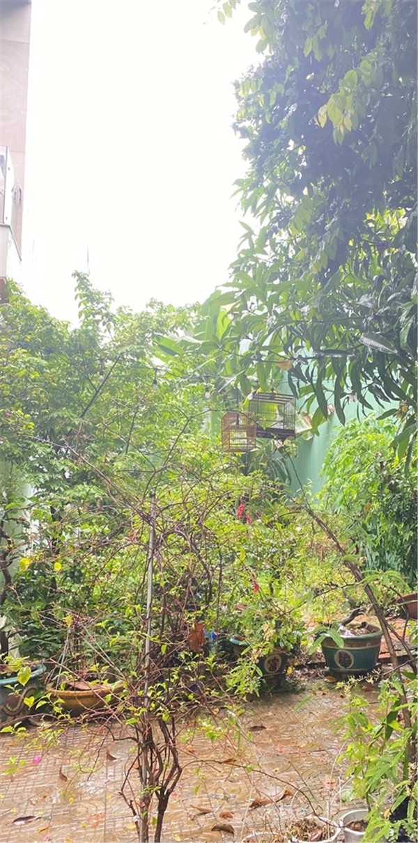 ĐẤT ĐẸP - GIÁ TỐT - CẦN BÁN NHANH LÔ ĐẤT ĐẸP Tại Phường Khê Mỹ, Quận Ngũ Hành Sơn, TP. Đà Nẵng. - Ảnh 1