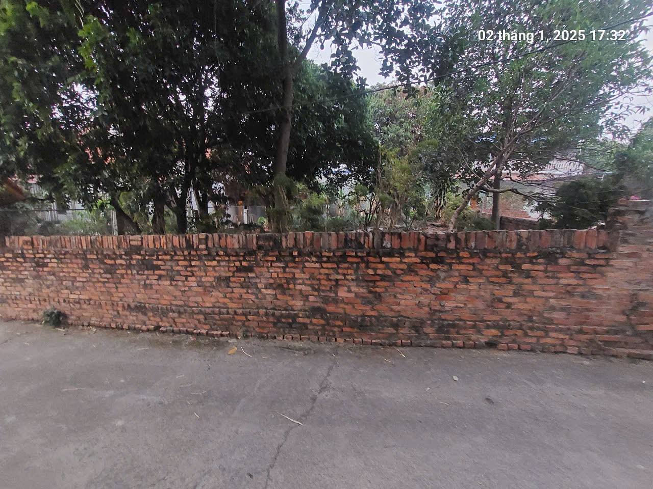 Full thổ cư, 272m2, mt11m, ô tô 7 chỗ thông, 5.5 tỷ, Phú Cường, Sóc Sơn. - Ảnh 4