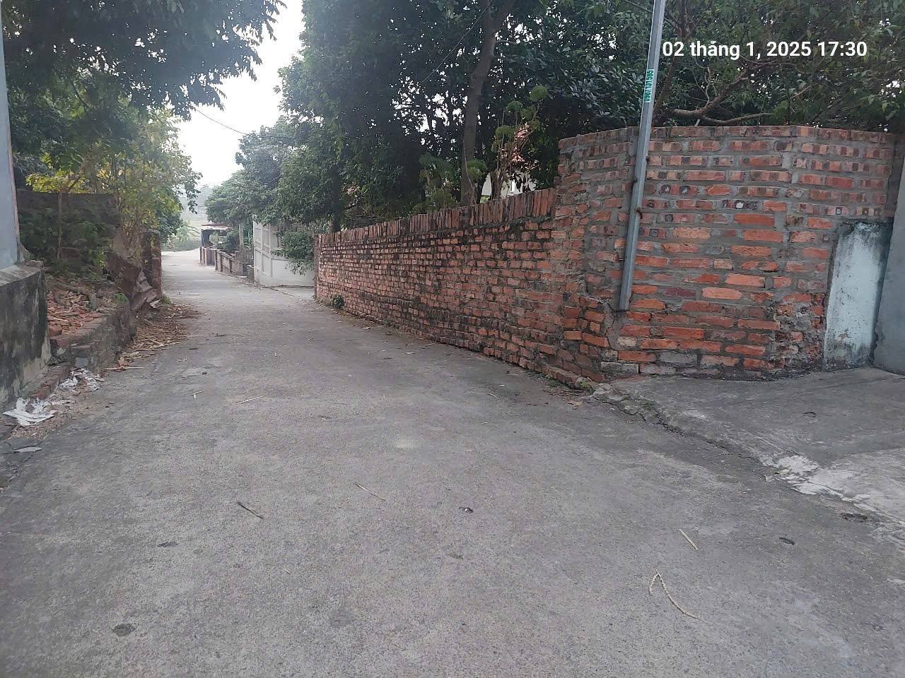 Full thổ cư, 272m2, mt11m, ô tô 7 chỗ thông, 5.5 tỷ, Phú Cường, Sóc Sơn. - Ảnh 1