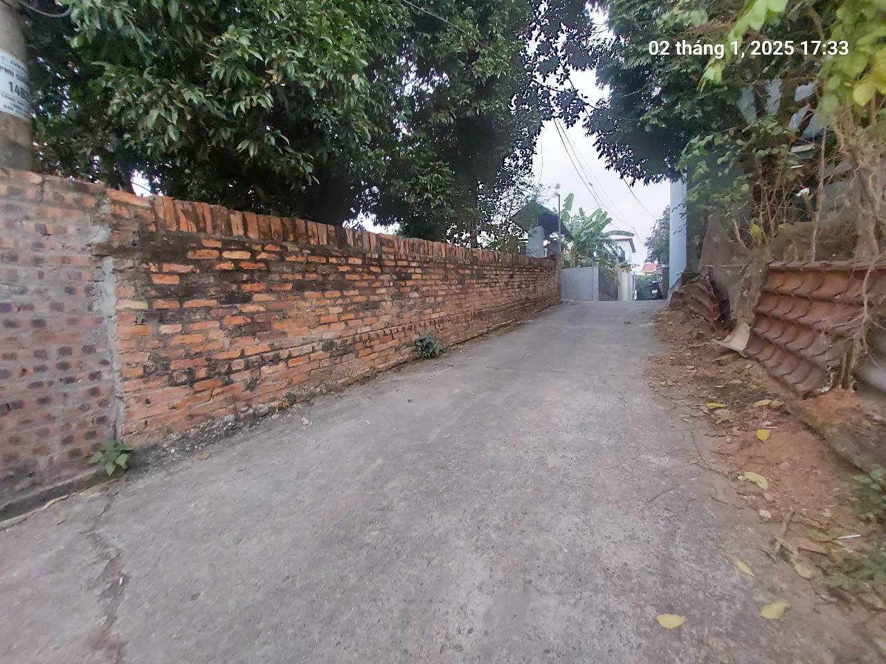 Full thổ cư, 272m2, mt11m, ô tô 7 chỗ thông, 5.5 tỷ, Phú Cường, Sóc Sơn. - Ảnh 2