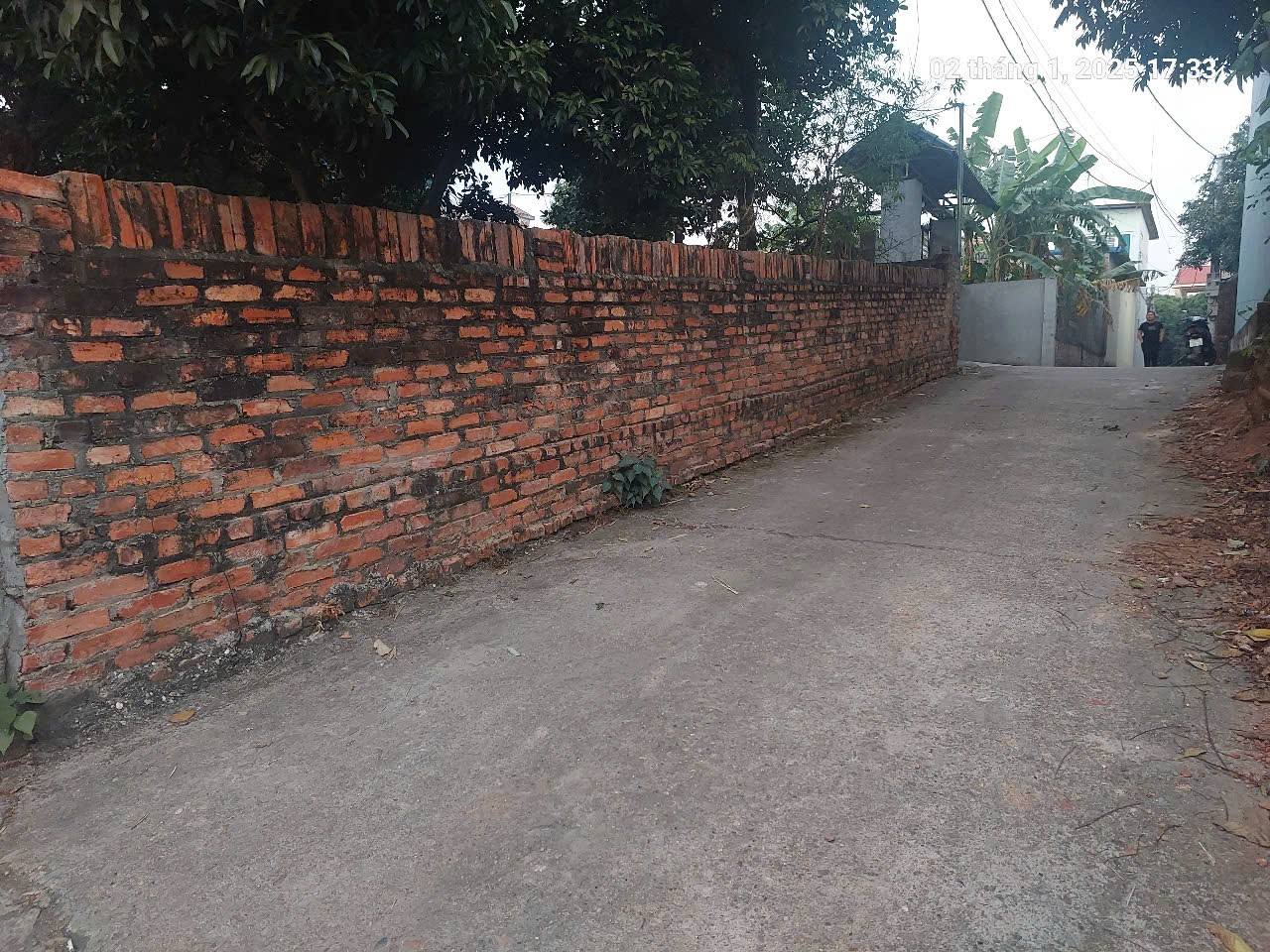 Full thổ cư, 272m2, mt11m, ô tô 7 chỗ thông, 5.5 tỷ, Phú Cường, Sóc Sơn. - Ảnh 3