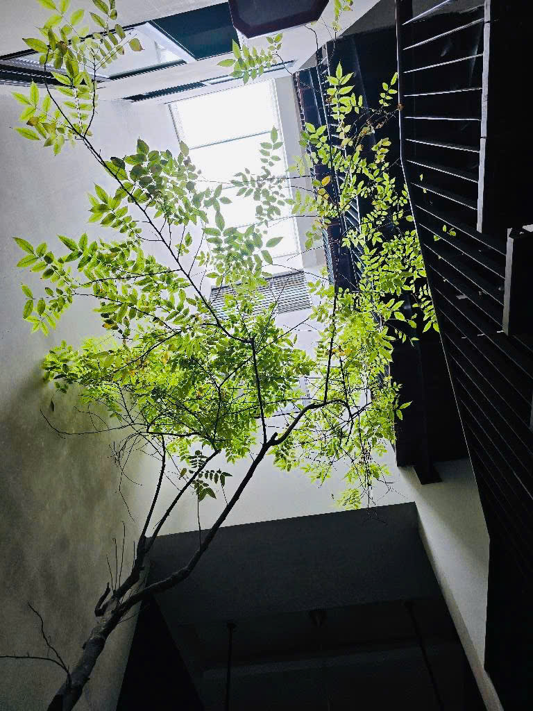 Siêu hiếm! Bán nhà phố Mạc Đĩnh Chi - Trúc Bạch-gần hồ-vỉa hè-ô tô tránh-80m2 - 5m mặt tền - Ảnh 2