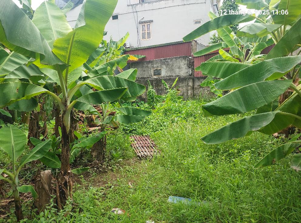 Đất đẹp hơn tờ 500. Xuân Canh, 100m2, mt10m, 16 tỷ, Đông Anh. - Ảnh 2