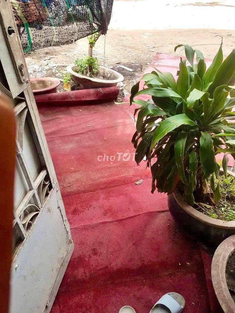 Chính chủ cho thuê nhà nguyên căn – đường Thái Thị Nhạn, P.10, Q. Tân Bình - Ảnh 3
