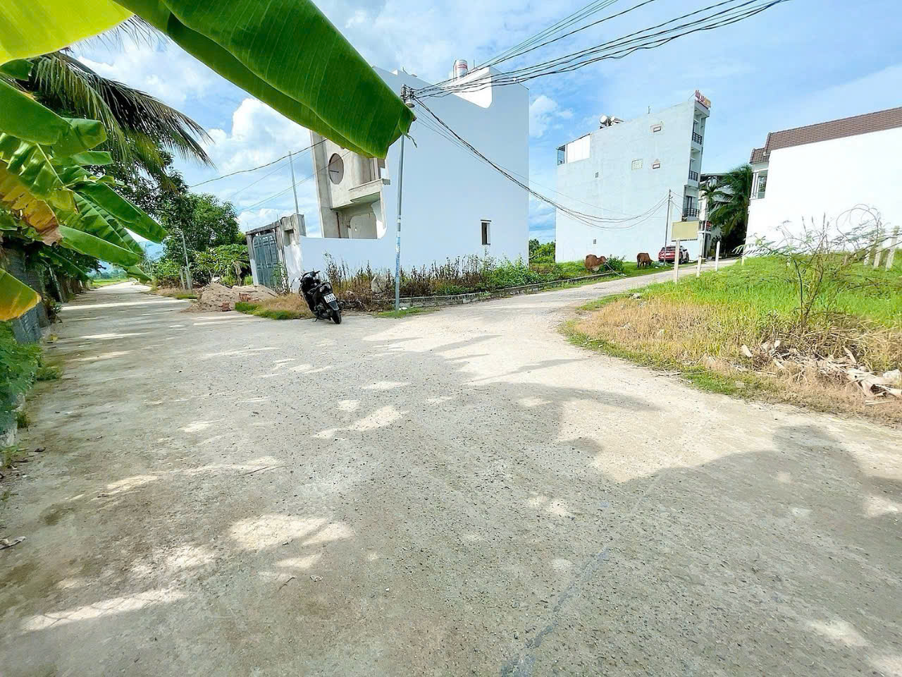 CHÍNH CHỦ CẦN BÁN LÔ ĐẤT THỔ CƯ GIÁ TỐT - GẦN QUỐC LỘ 1A, SUỐI HIÊP, DIÊN KHÁNH, NHA TRANG - Ảnh 2