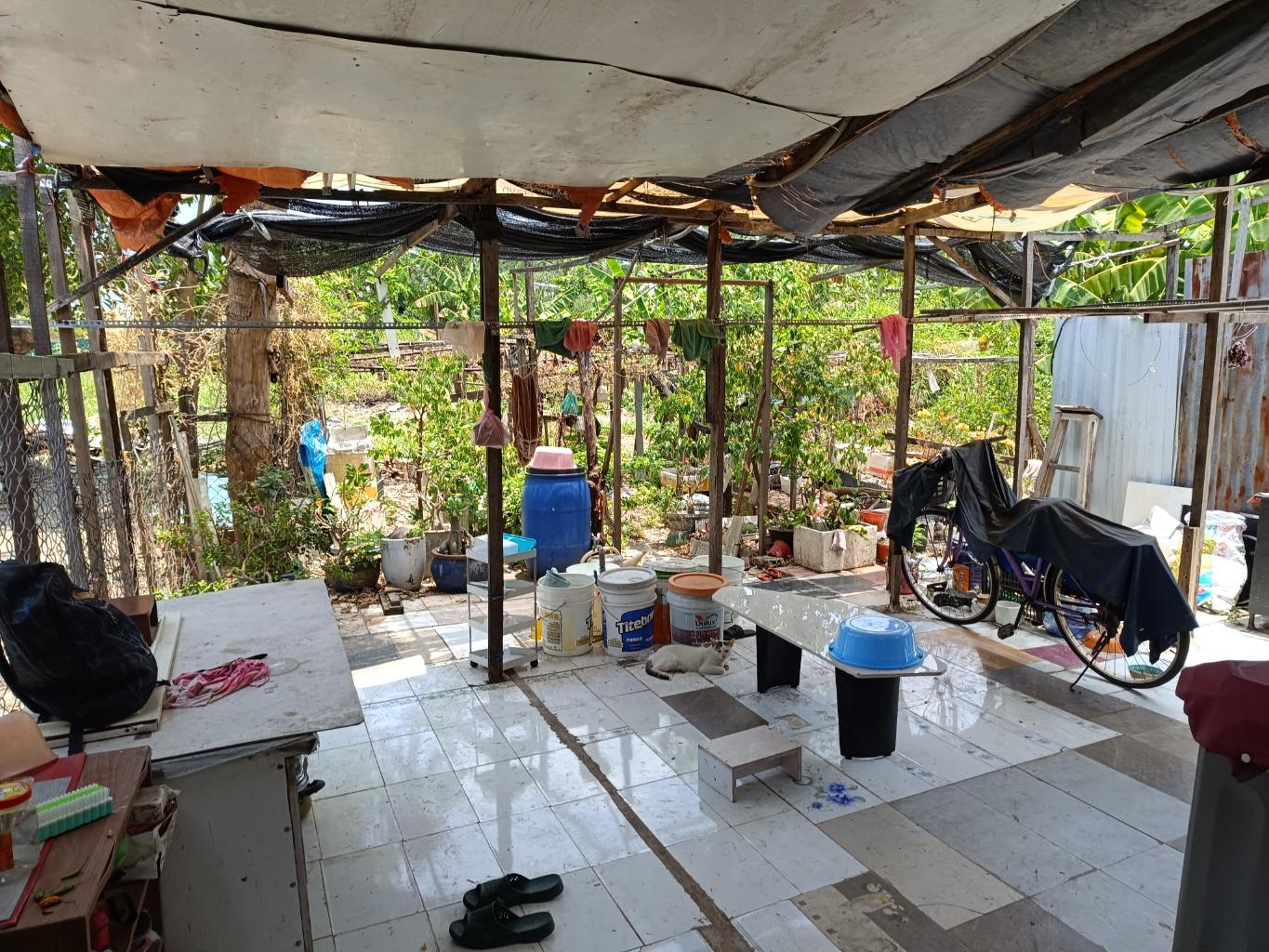 Bán nhà phạm thế hiển phường 7 quận 8 ngang 4m dài 12m giá 3,6 tỷ nhà cấp 4, tiện xây mới - Ảnh 1