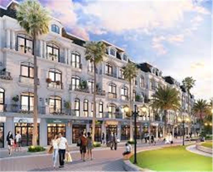 Bán HD1 diện tích 209m2, Biệt thự song lập, Vinhomes Wonder City - Ảnh 3