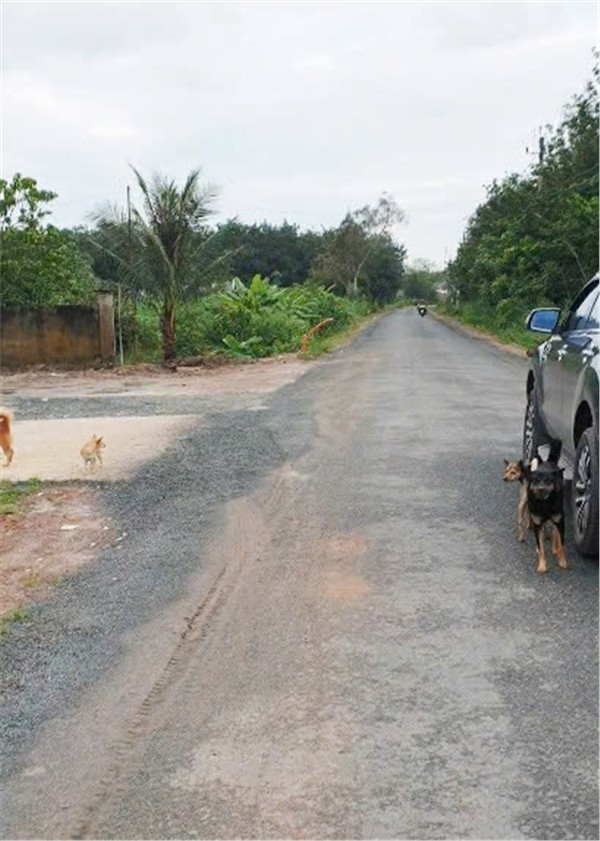LÔ ĐẤT VỊ TRÍ ĐẸP- GIÁ TỐT Cần tiền gấp bán cắt lỗ, giảm sâu lô đất mặt tiền đường nhựa 30m tại - Ảnh 1