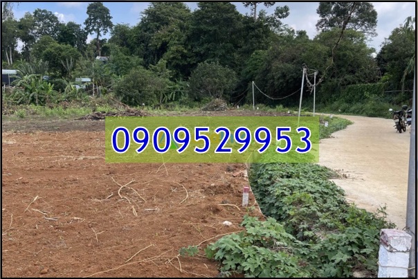 ⭐Bán 3 lô đất vị trí đẹp tại Châu Đức, Bà Rịa Vũng Tàu. từ 550tr; 0909529953 - Ảnh chính