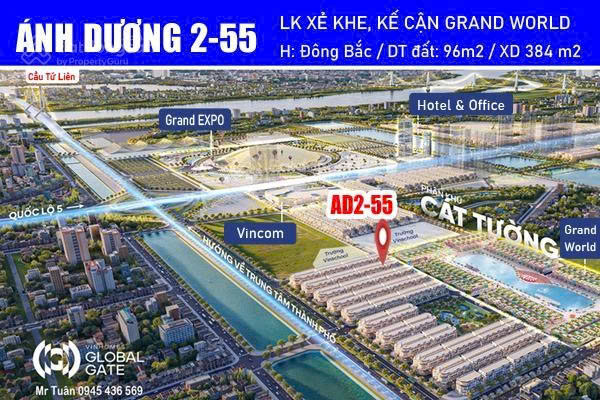 Tôi chủ nhà muốn Bán biệt thự SẺ KHE tại Vinhomes Cổ Loa, 35,5 tỷ, 96 m2. - Ảnh chính