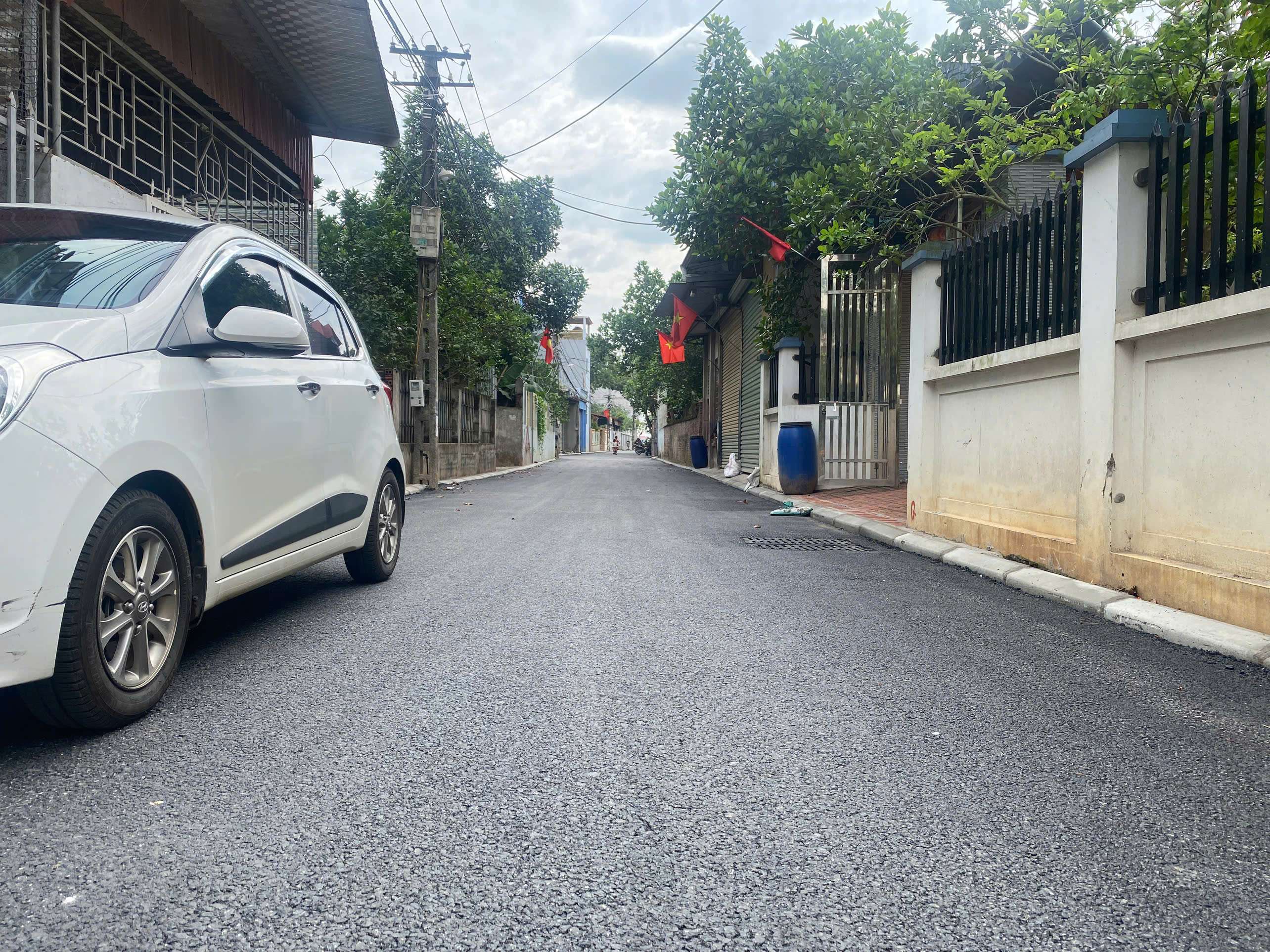 TRỤC KINH DOANH ĐÔNG CAO TRÁNG VIỆT,100M,FULL TC,FULL TIỆN ÍCH,GIÁ ĐẦU TƯ - Ảnh 2