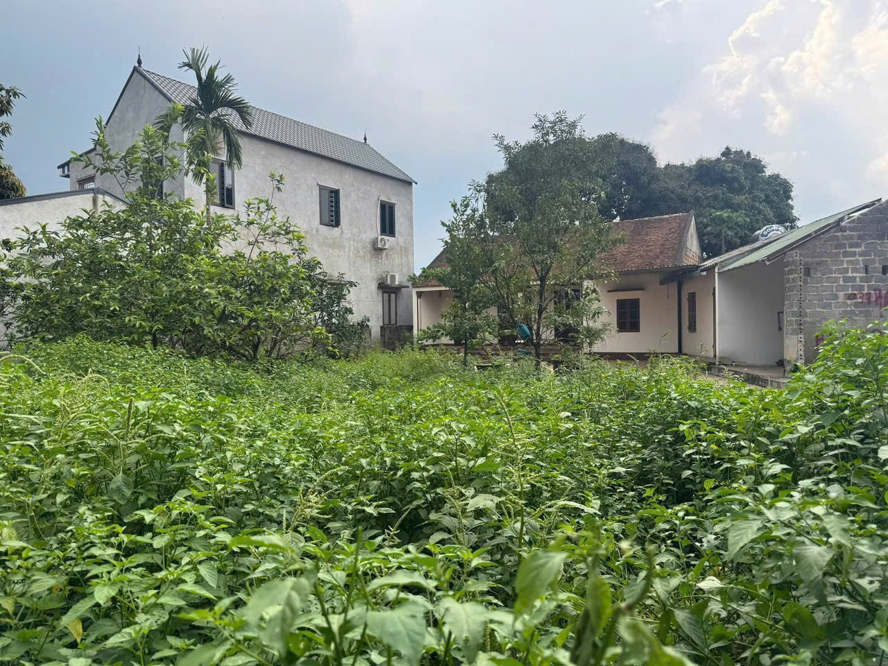 Khuôn Viên Đẹp tại Chương Mỹ. Nhỉnh 3 Tỷ - Ảnh 4