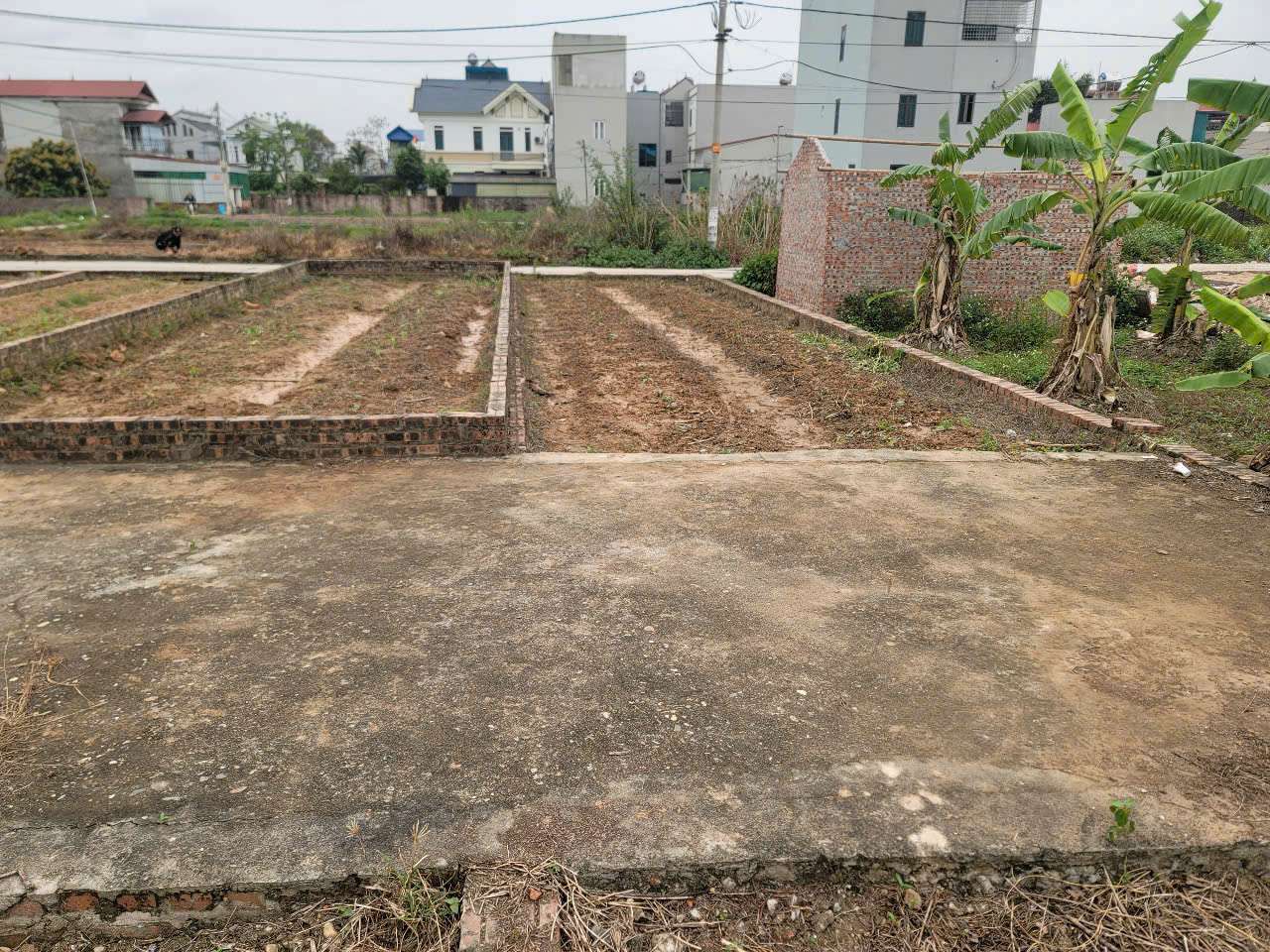58M TỔ 10 TT QUANG MINH,2 MẶT TIỀN,SÁT BÌA LÀNG,GIÁ F0 ĐẦU TƯ, HÀNG MỚI,LH CHÍNH CHỦ - Ảnh 1