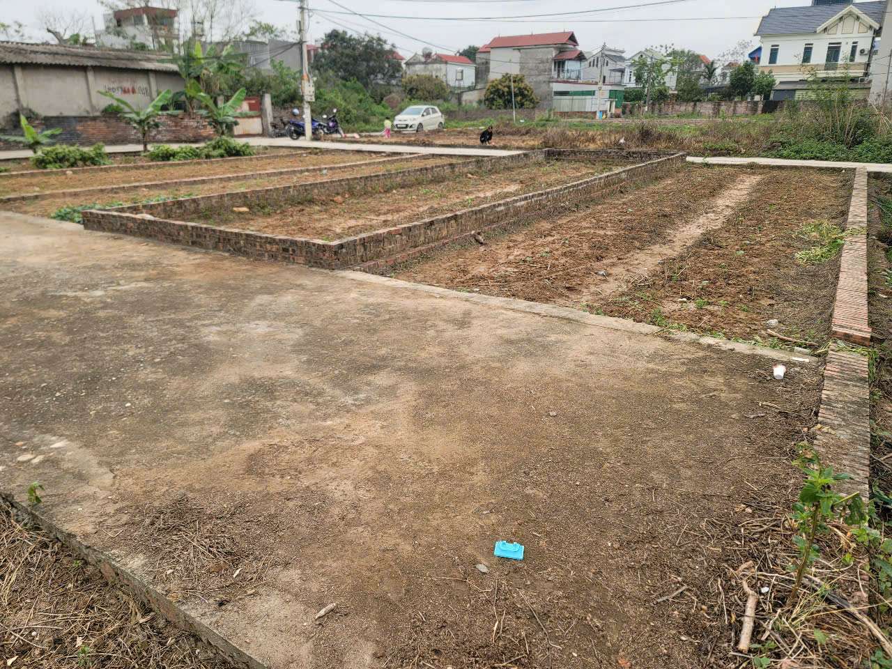 58M TỔ 10 TT QUANG MINH,2 MẶT TIỀN,SÁT BÌA LÀNG,GIÁ F0 ĐẦU TƯ, HÀNG MỚI,LH CHÍNH CHỦ - Ảnh 2