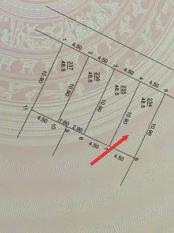 🌟🌟CHÍNH CHỦ CẦN BÁN 48,5M ĐẤT _ SIÊU PHẨM ĐẤT LÀNG NGHỀ TÁO – TAM THUẤN – PHÚC THỌ – HÀ NỘI 🌟🌟 - Ảnh chính