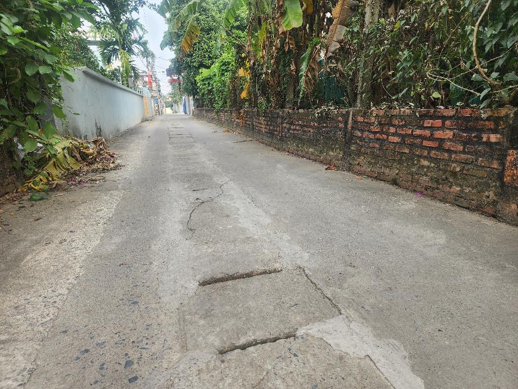 Bán Đất Nam Hồng - Đông Anh,Ô Tô Tránh Nhau,Diện Tích 86,5m,Giá 4,2 Tỷ - Ảnh 1
