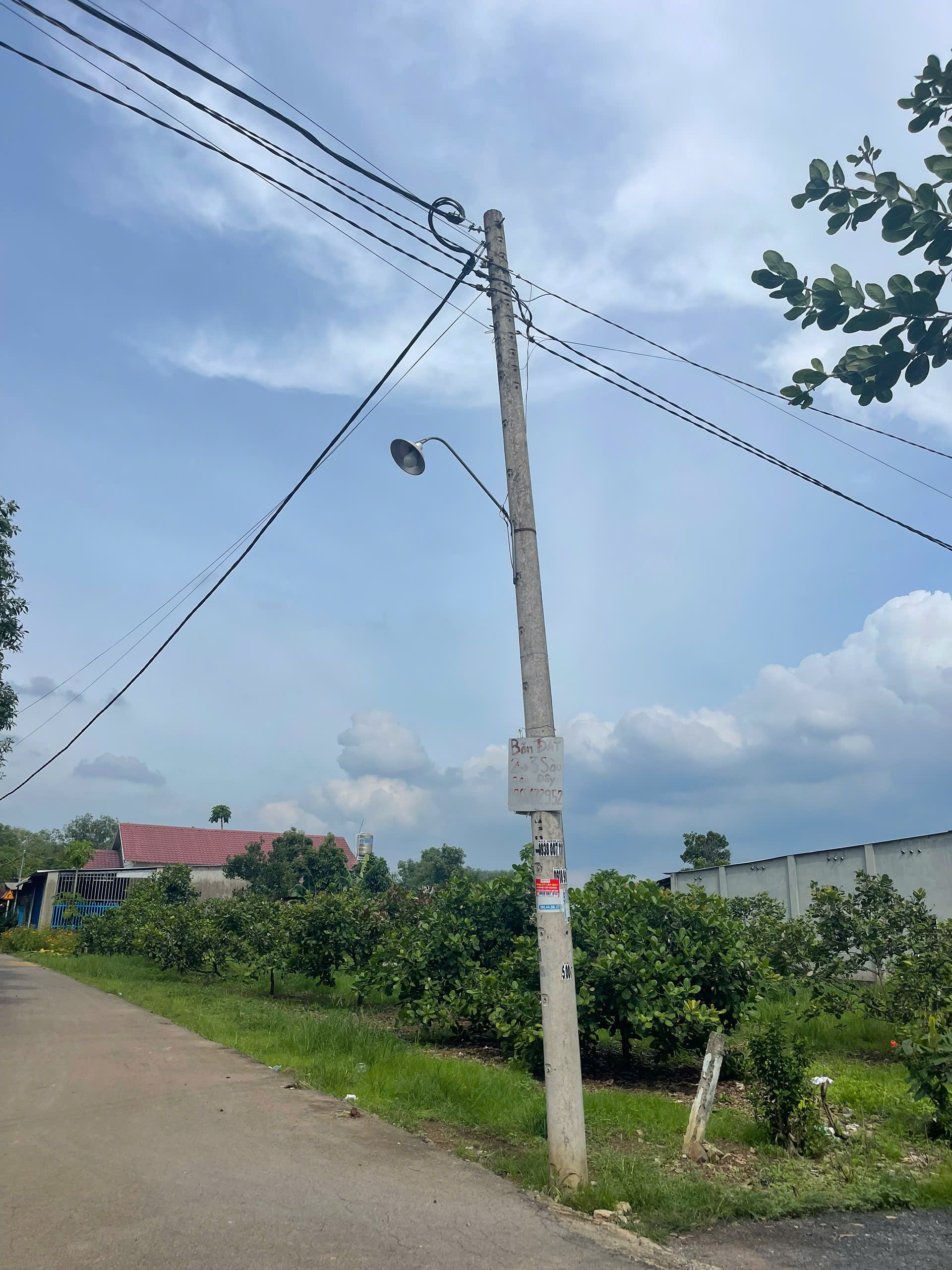 Bán đất Đồi 61 16/1488, 850 tr 94m2 thổ cư đường nhựa - Ảnh chính
