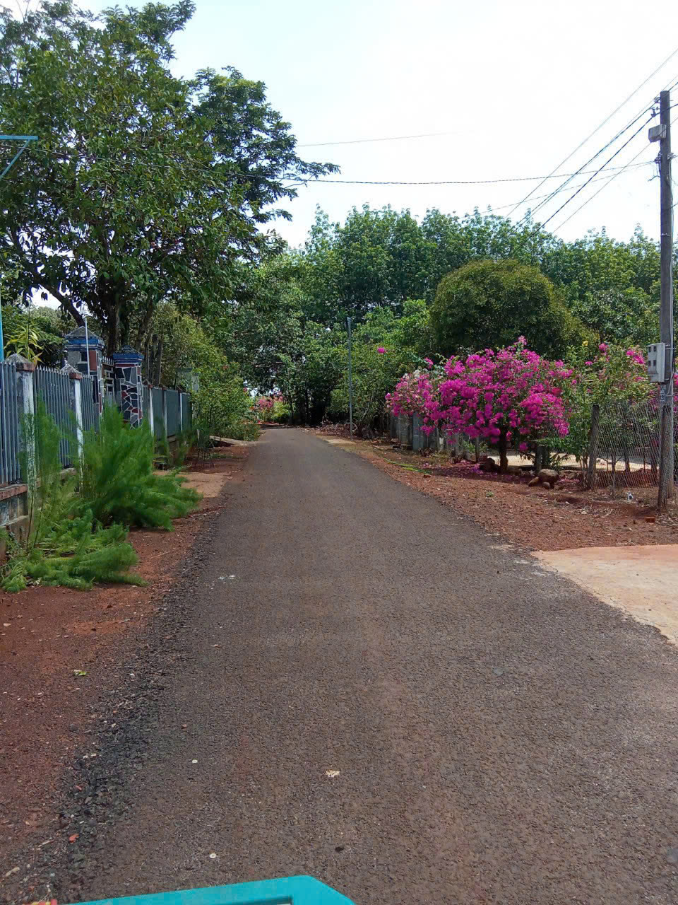 CẦN BÁN GẤP ĐẤT TẠI NHƠN HÒA 2, LONG GIANG, PHƯỚC LONG, BÌNH PHƯỚC - Ảnh 1