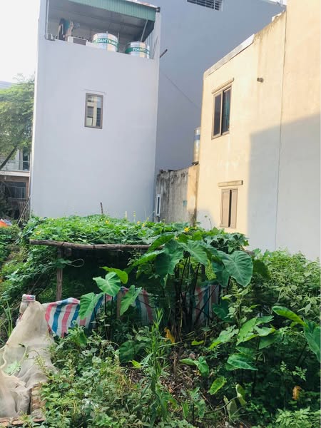 Chính chủ bán 60m Phân Lô ô tô tránh khu đấu giá Ao Ngòi _ Đức Thượng _ Hoài Đức💎 - Ảnh 1