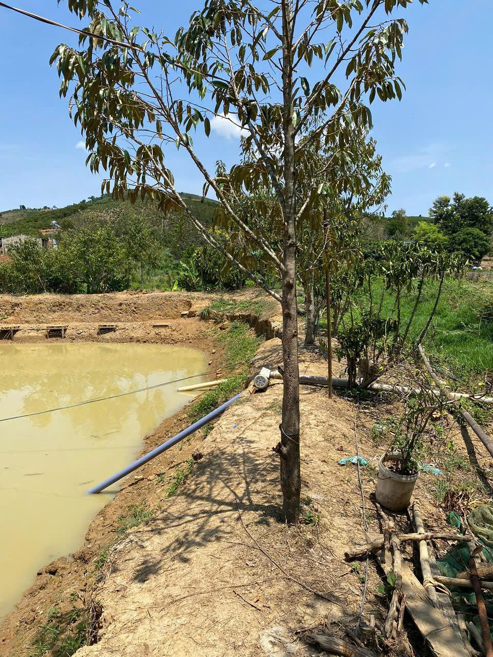BÁN ĐẤT AO TẠI ĐINH CÔNG TRÁNG, LỘC CHÂU, BẢO LỘC, LÂM ĐỒNG - Ảnh 1