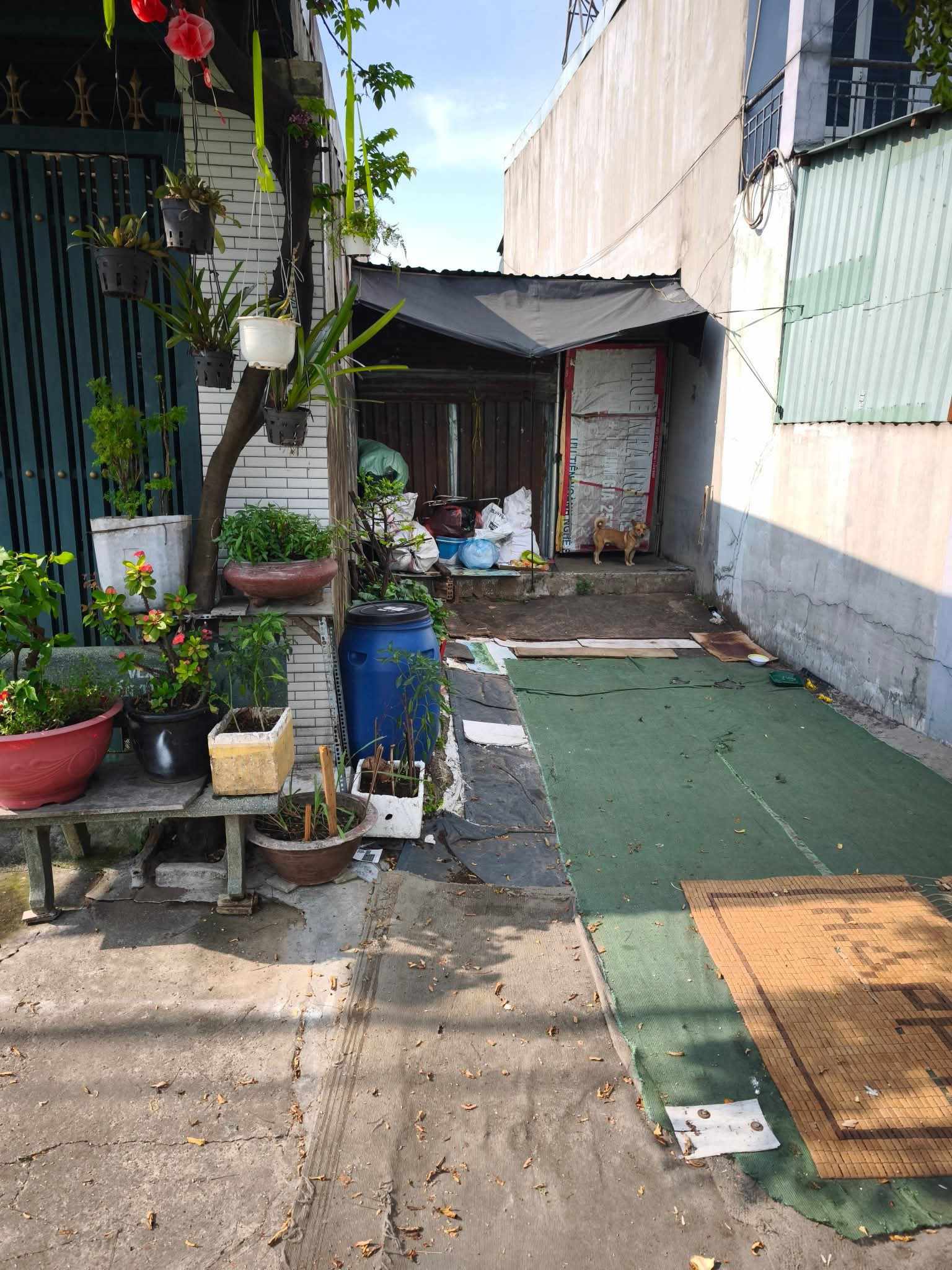 ĐẤT THỔ CƯ ĐÔNG THẠNH, HÓC MÔN - 78M2, HXH THÔNG - GIÁ TỐT. - Ảnh 2