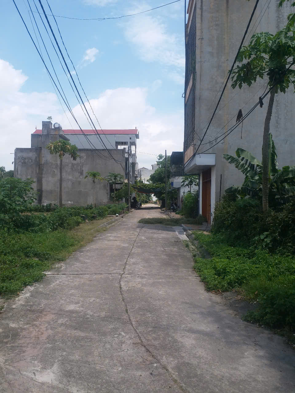 BIÊN GIANG HÀ ĐÔNG – PHÂN LÔ Ô TÔ TRÁNH - DIỆN TÍCH RỘNG 66m – TƯƠNG LAI TĂNG PHI MÃ – CHỈ 5.2 TỶ. - Ảnh chính