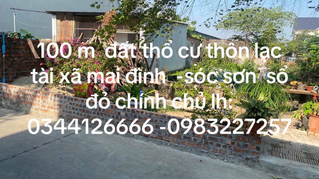 VỊ TRÍ ĐẸP - GIÁ TỐT- Chính Chủ Cần Bán Nhanh Đất Tại Lạc Tài, Mai Đình, Sóc Sơn, Hà Nội - Ảnh chính
