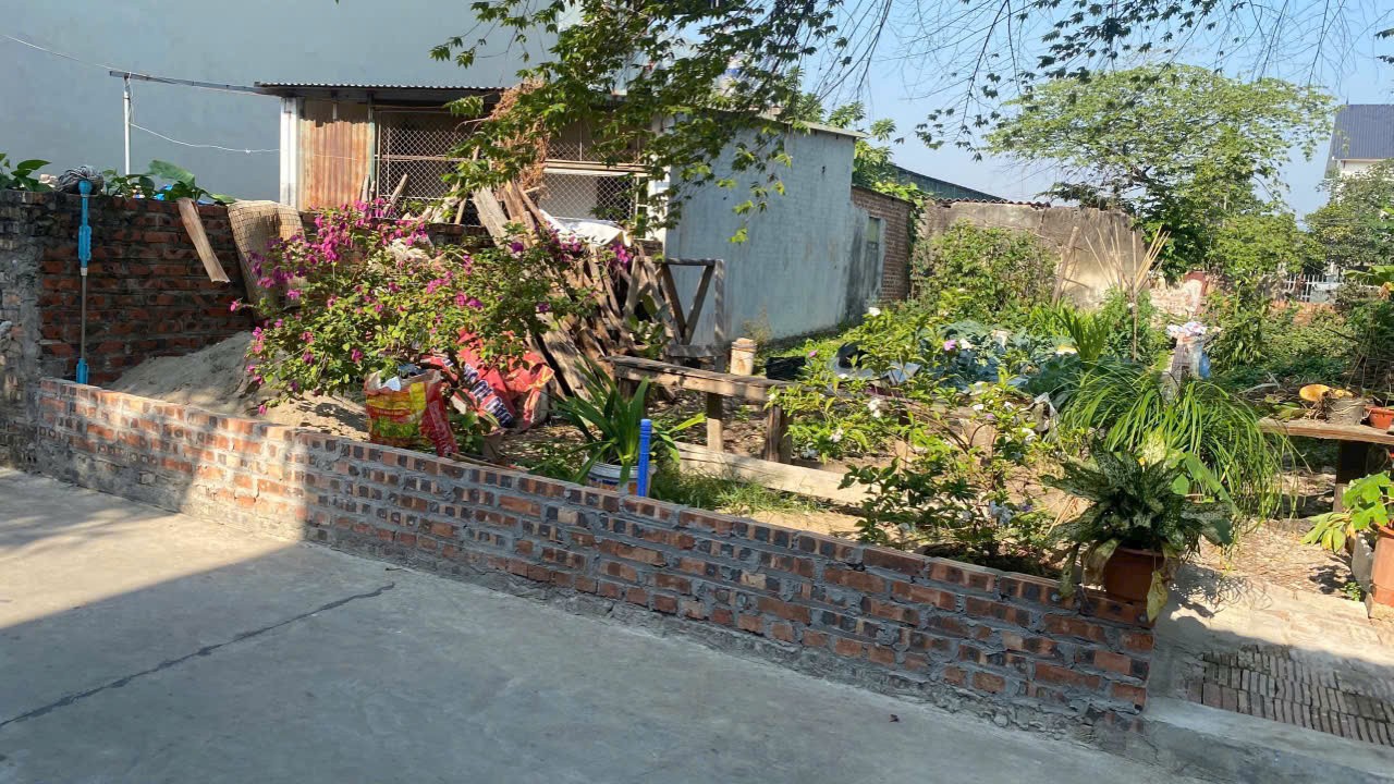VỊ TRÍ ĐẸP - GIÁ TỐT- Chính Chủ Cần Bán Nhanh Đất Tại Lạc Tài, Mai Đình, Sóc Sơn, Hà Nội - Ảnh 2