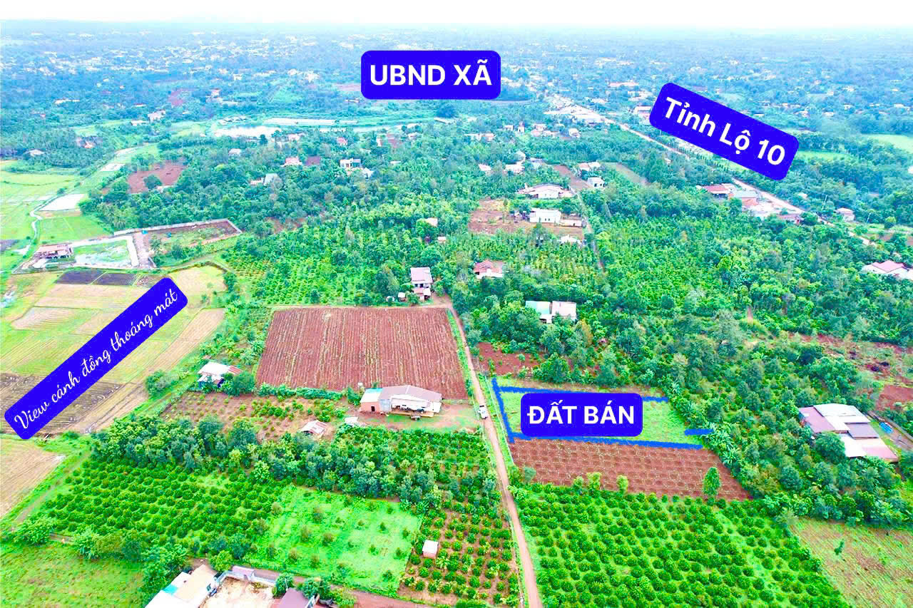 Ea Bhók- Cư kuin- Đắk Lắk dt 1158m2 mặt tiền miên man 20m đường bê tông đất đỏ bazan kdc tiện ích - Ảnh chính