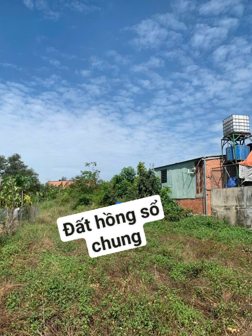 CHÍNH CHỦ CẦN BÁN ĐẤT TẠI TRẢNG BOM - Ảnh 1