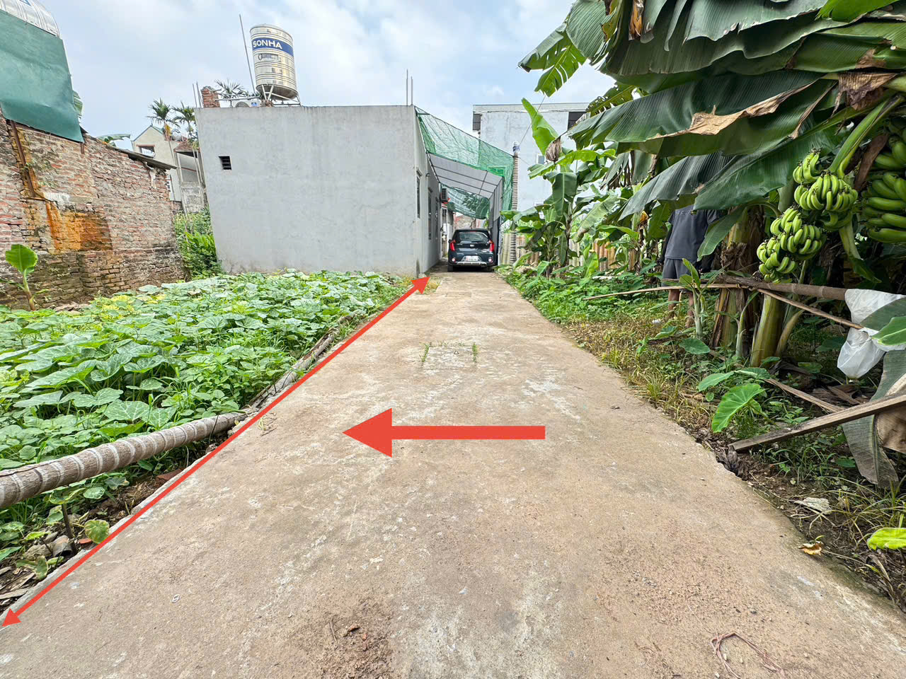 đất vàng tráng việt, mê linh - cơ hội nhân đôi tài sản khi cầu thượng cát khởi công - Ảnh 1