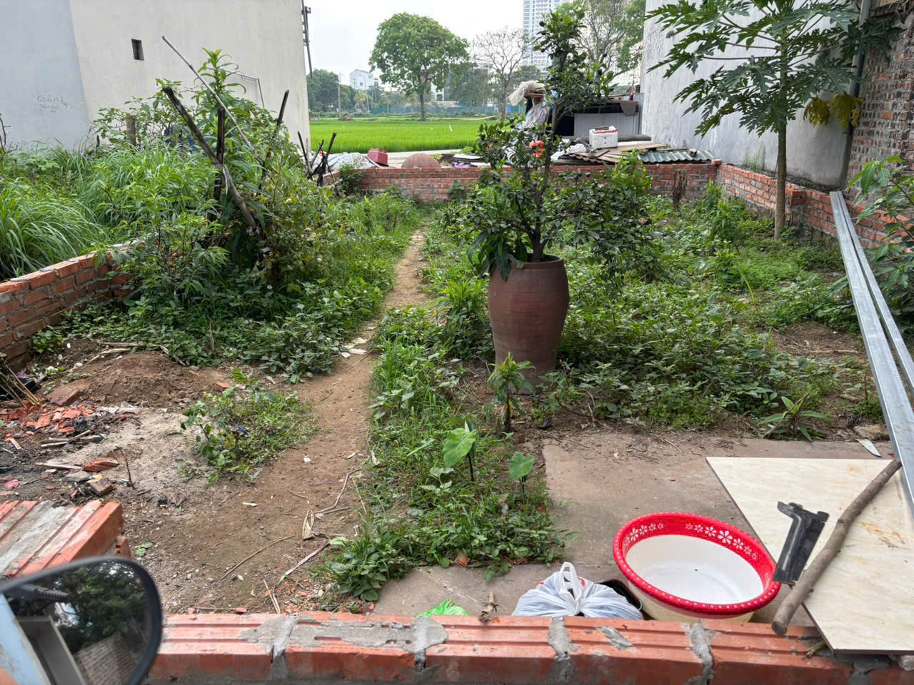 BÁN ĐẤT ĐẸP - PHÚC THỌ MAI LÂM ĐÔNG ANH DT 50m² - CHỈ 119TR/1M2 .MẶT BÌA LÀNG Ô TÔ NGỦ TRONG ĐẤT - Ảnh 2