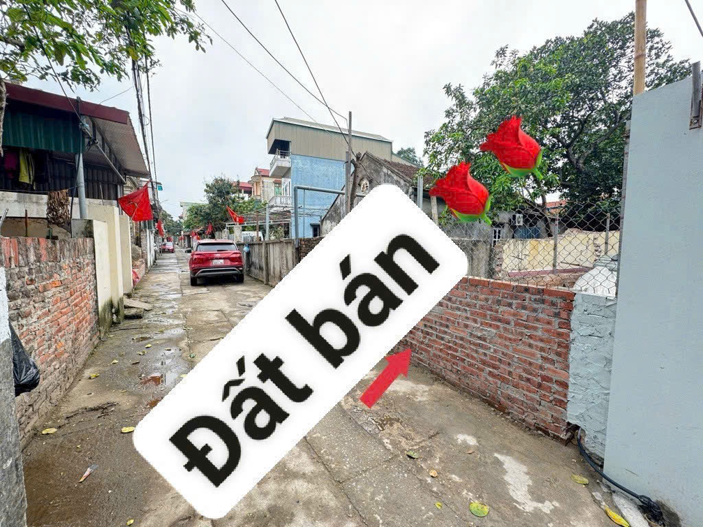 BÁN ĐẤT ĐẸP DU NỘI – MAI LÂM, ĐÔNG ANH –DT 45M – NGÕ 4M THÔNG THOÁNG - NHỈNH 5 TỶ - Ảnh chính