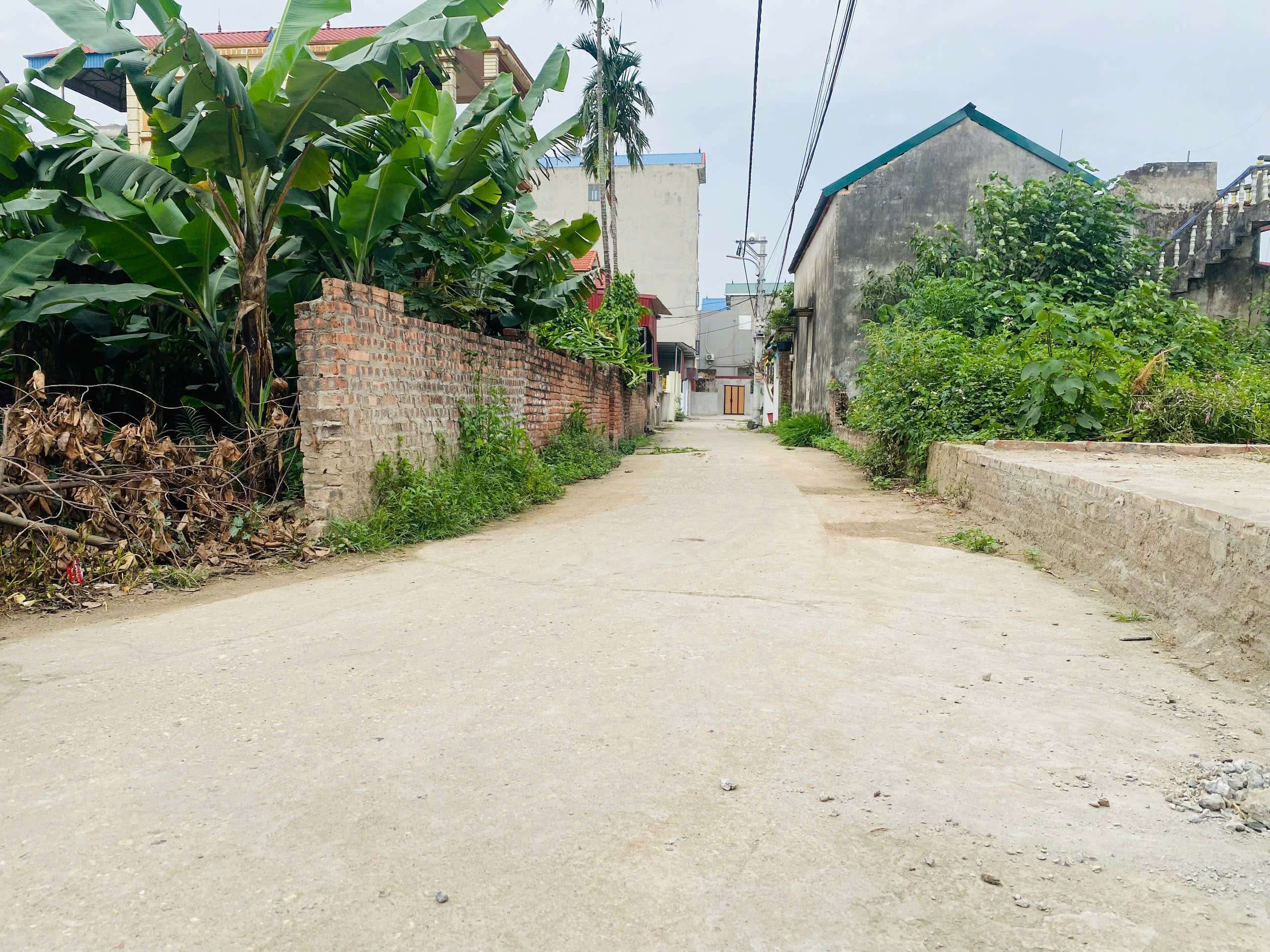 EM QUANG BÁN 103M FULL THỔ CƯ,GIÁ 3X TRIỆU/M,TT QUANG MINH,GIÁ ĐẦU TƯ,Ô TÔ VÀO - Ảnh 2