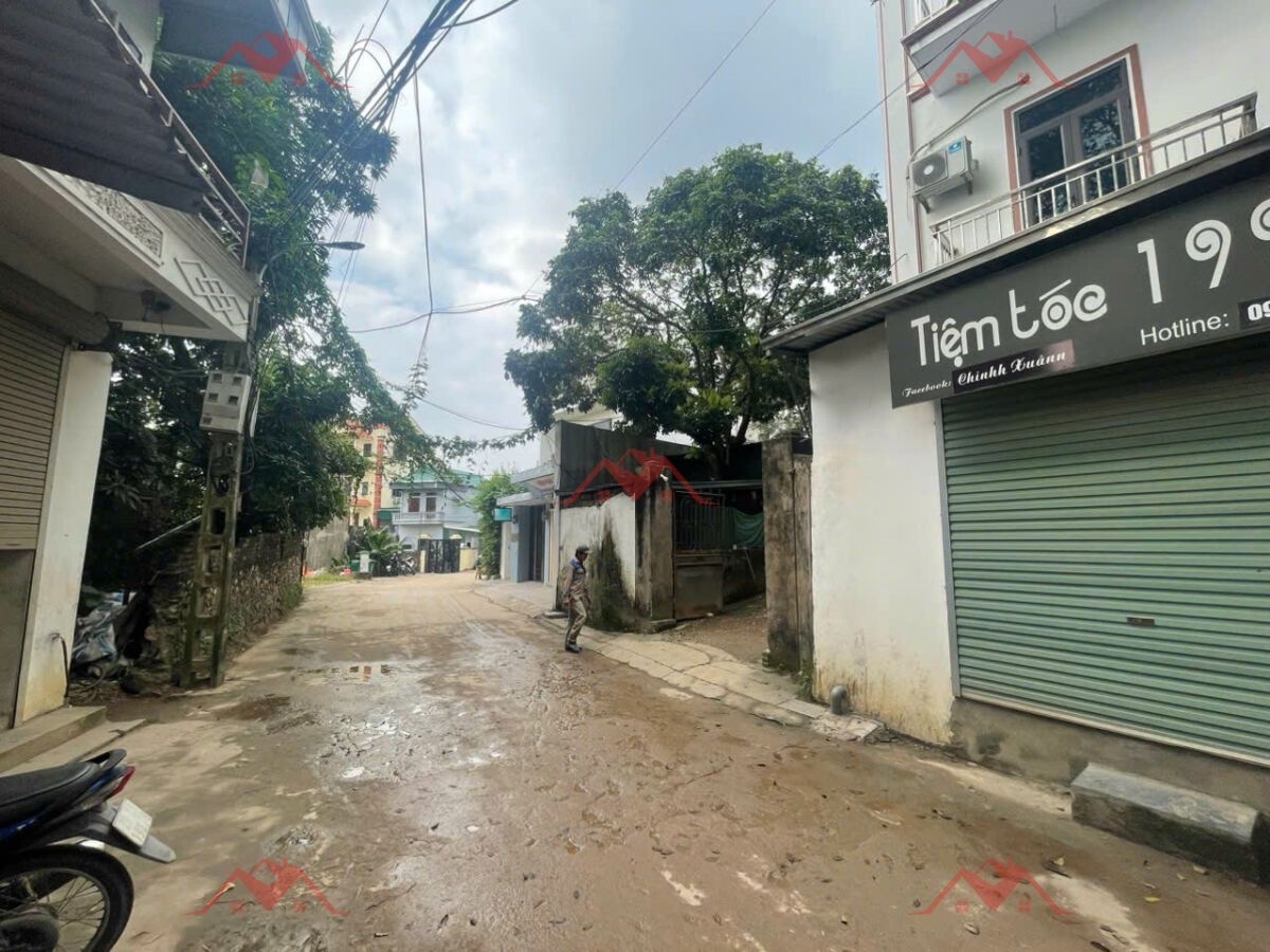 CHÍNH CHỦ BÁN LÔ ĐẤT 60M TẠI PHỤNG CHÂU-CHƯƠNG MỸ-HÀ NỘI - Ảnh 1