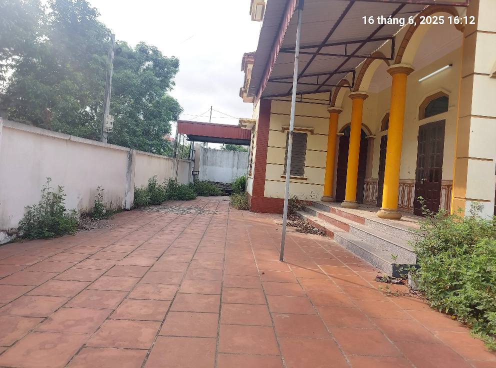 Chủ nhờ bán 625m2, mt27m, 16.9 tỷ. lô góc, ô tô tải, Minh Phú, Sóc Sơn. - Ảnh chính