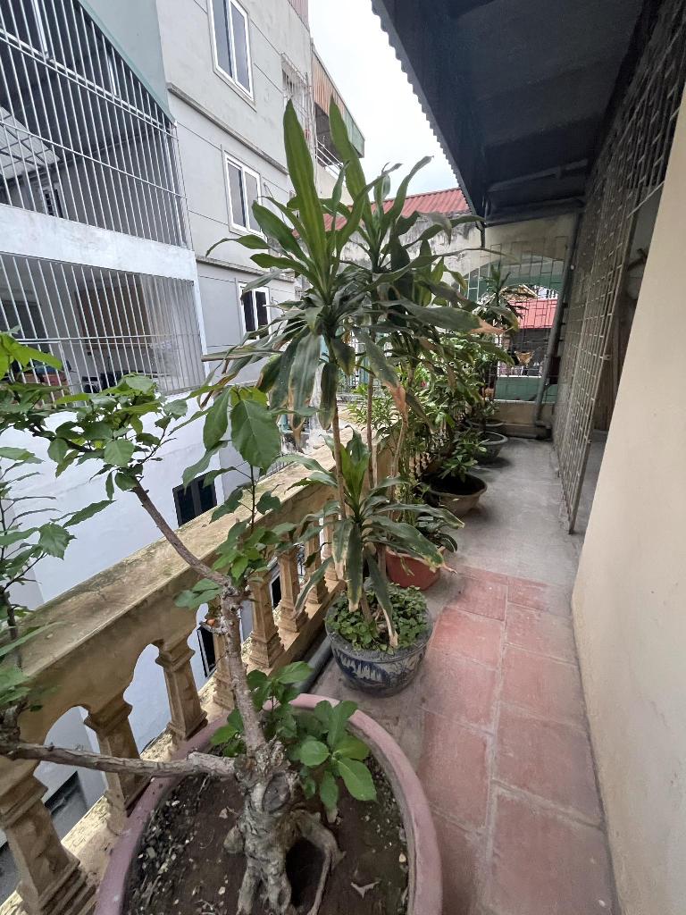 ⚡️ LÔ GÓC 2 THOÁNG - Ở SƯỚNG, XÂY CCMN ĐỈNH - 100M RA MẶT PHỐ DƯƠNG QUẢNG HÀM - 14 TỶ - Ảnh 4