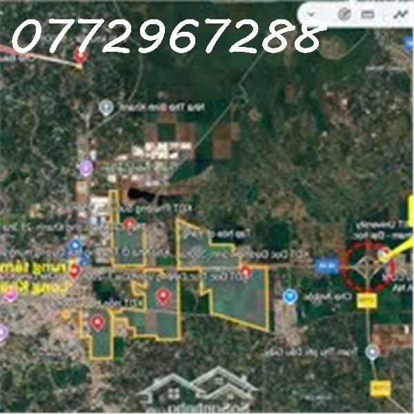 Bán đất Vườn Cây ăn Trái Mặt Tiền đường Lê A - 6000m2 - Giá Chỉ 6tr/m2 - Ảnh 3