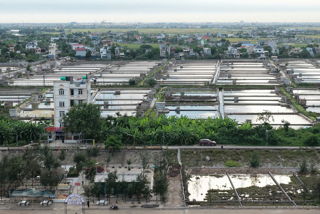 ĐẤT MẶT BIỂN ĐỒNG CHÂU - HƯNG YÊN  HÀNG HIẾM - KHÔNG CÓ LÔ THỨ 2 - Ảnh 2
