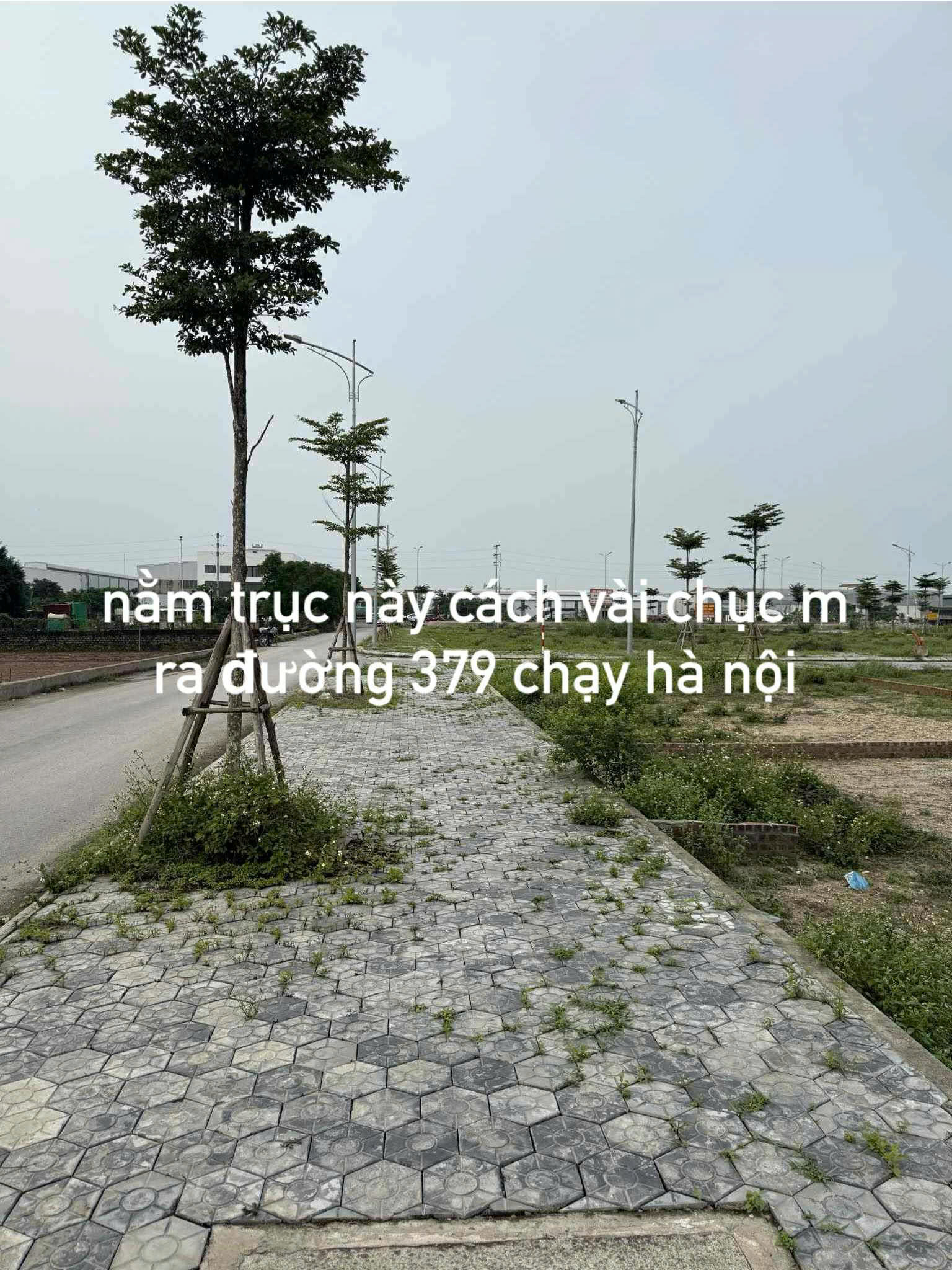 BÁN GẤP LÔ ĐẤT GIÃN DÂN YÊN HÒA, YÊN MỸ, HƯNG YÊN - Ảnh 4