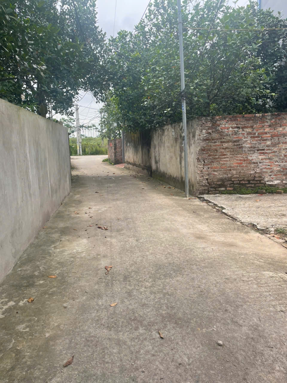 Bán nhanh lô góc siêu đẹp tại Kim Thư, sát thị trấn Kim Bài, DT 49m2, giá đầu tư - Ảnh 3