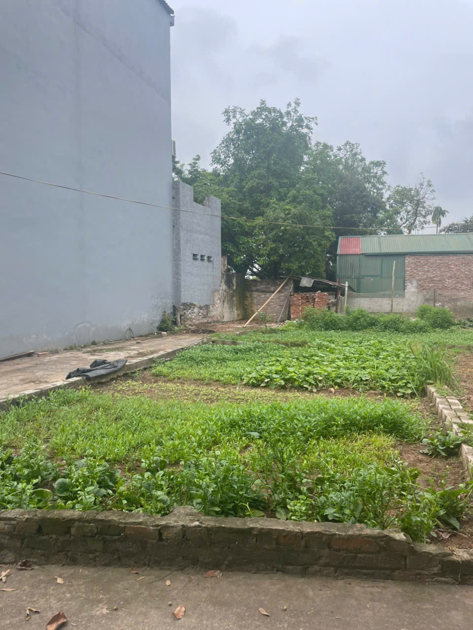 Bán nhanh lô góc siêu đẹp tại Kim Thư, sát thị trấn Kim Bài, DT 49m2, giá đầu tư - Ảnh 1