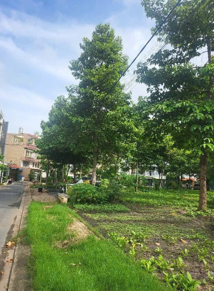 BÁN LÔ ĐẤT ĐẸP VIEW CÔNG VIÊN – KDC AN SƯƠNG, TÂN HƯNG THUẬN, Q12 - Ảnh chính